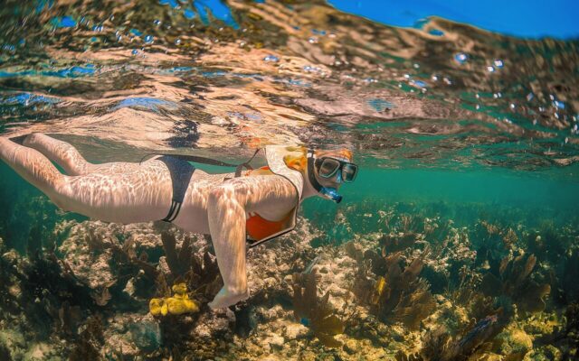Blue Planet III z mętnymi ujęciami: tak twórcy walczą z podróbkami AI
